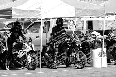 media/Feb-23-2024-2WTD (Fri) [[a719da276a]]/1-Around the Pits/